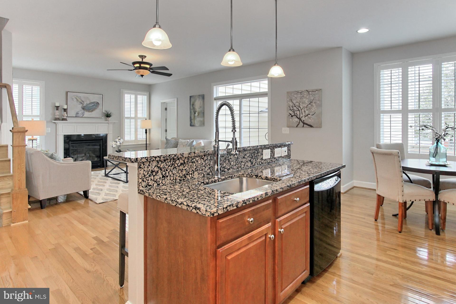 42441 Spring Splendor Drive Brambleton, VA 20148 - Photo 17 of 50 Newer Faucet, Refrigerator + Under Cab Lighting