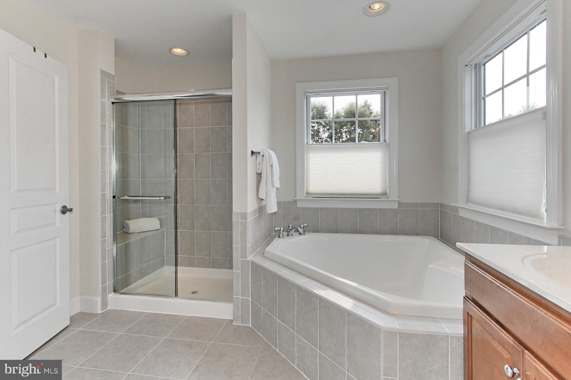 42441 Spring Splendor Drive Brambleton, VA 20148 - Photo 24 of 50 Private H20 Clst, Soaking Tub + Newer Shower Drs