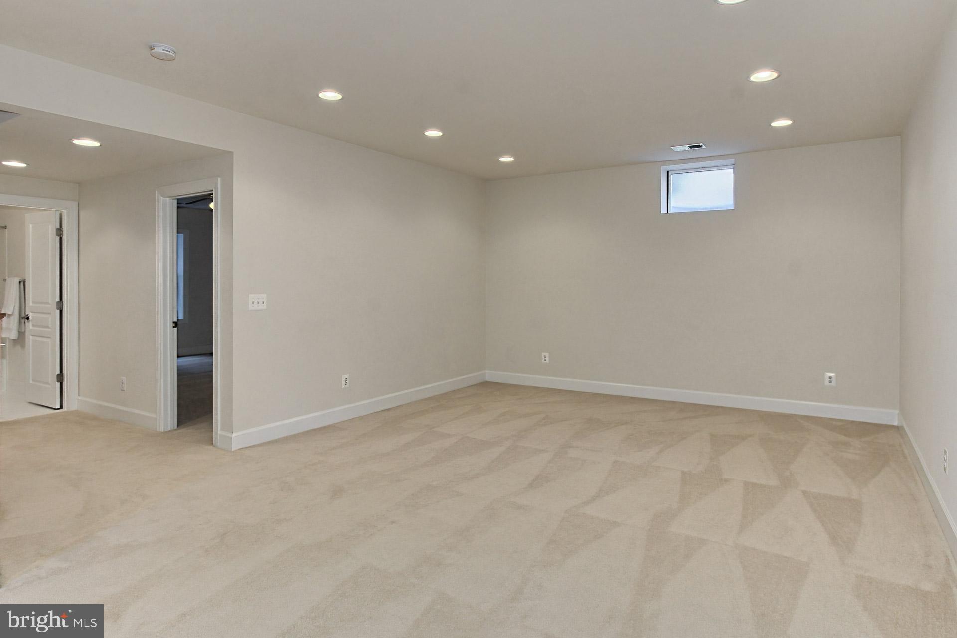 42441 Spring Splendor Drive Brambleton, VA 20148 - Photo 32 of 50 Rec Room spans the full width of the home