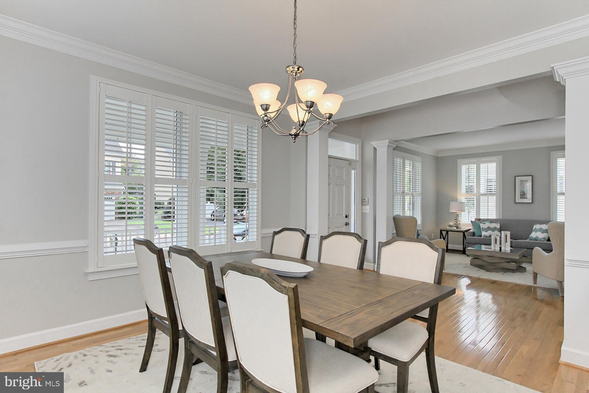 42441 Spring Splendor Drive Brambleton, VA 20148 - Photo 8 of 50 Plantation Shutters Dress the Main Lvl Windows