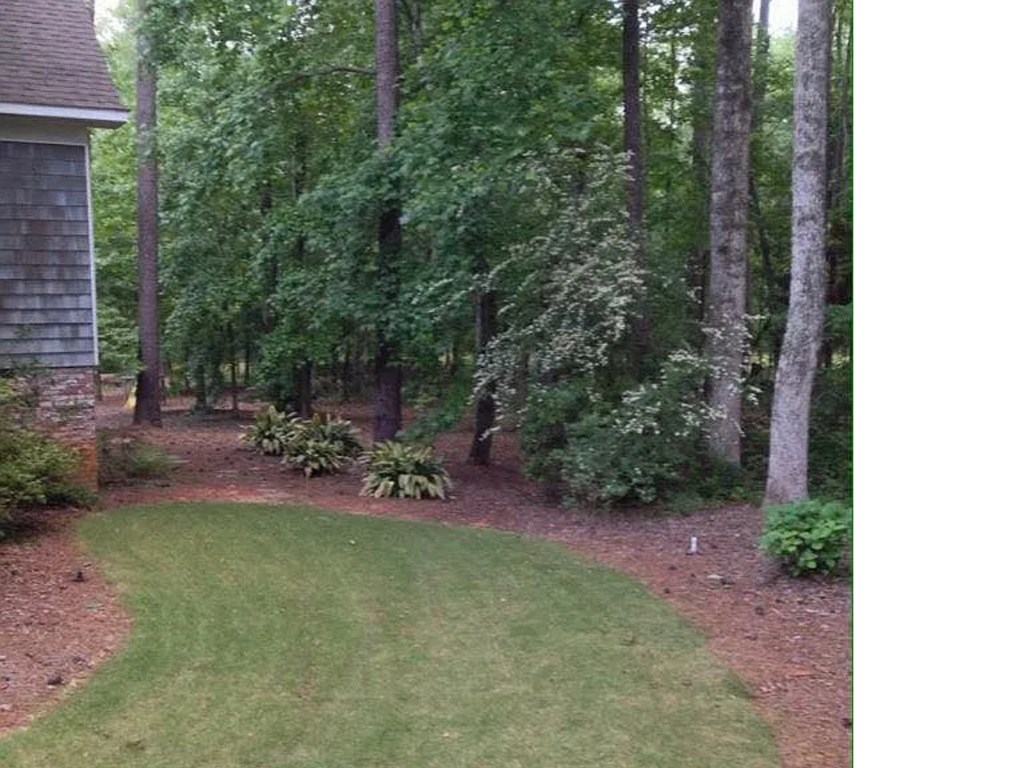 6070 Pierce Chapel Road Midland, GA 31820 - Photo 6 of 36