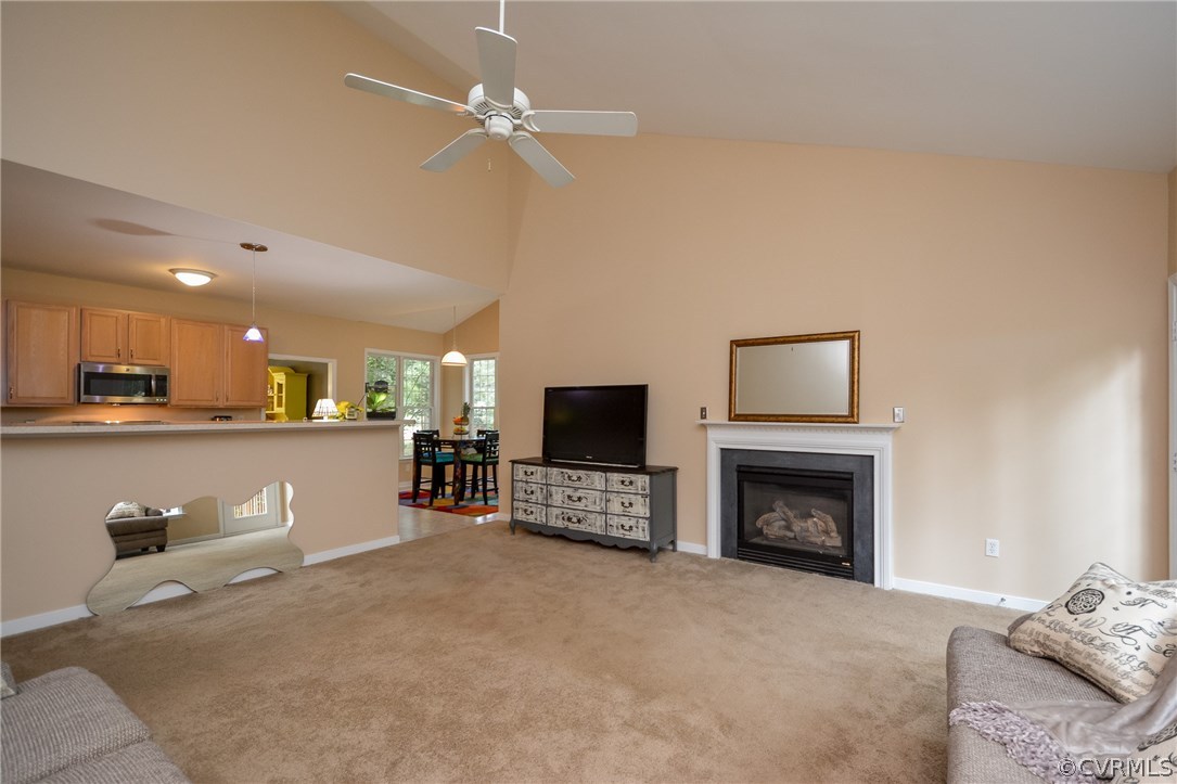 3607 Newbys Bridge Road Chesterfield, VA 23832 - Photo 23 of 44 Gallery Image 23