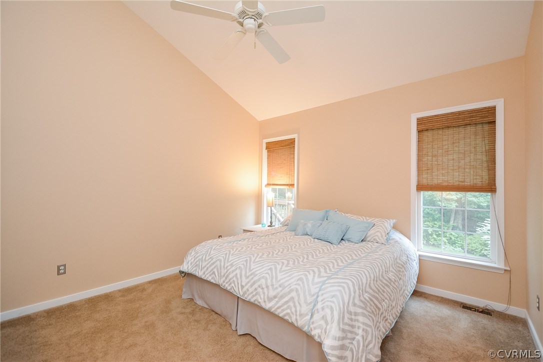 3607 Newbys Bridge Road Chesterfield, VA 23832 - Photo 32 of 44 Gallery Image 32