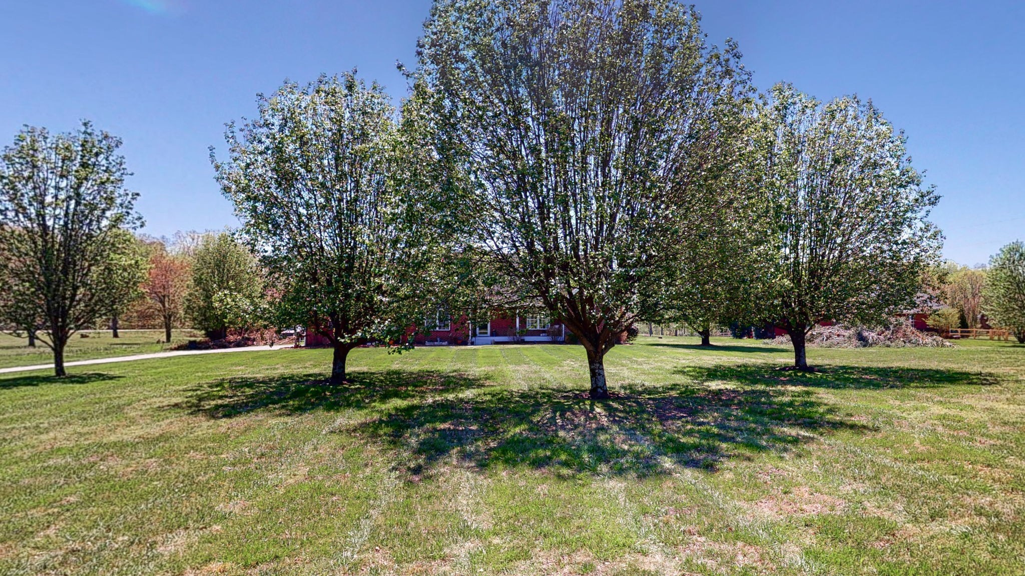 4211 Sandy Springs Road Springfield, TN 37172 - Photo 30 of 58 a view of field with trees in the background