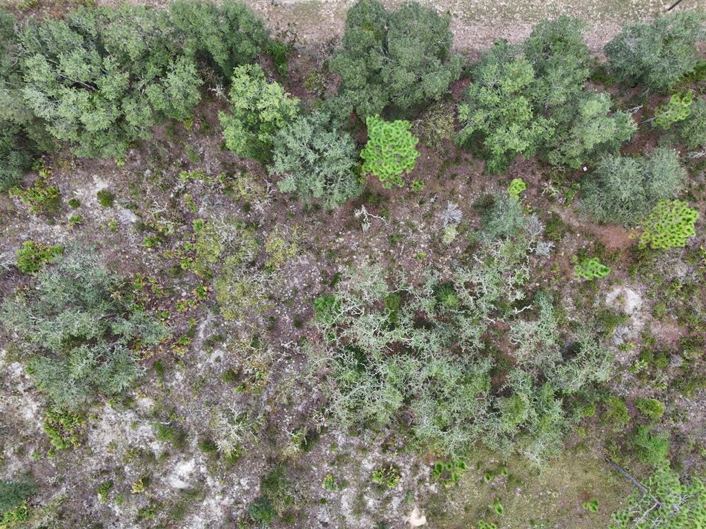 Northeast 62nd Street Williston, FL 32696 - Photo 10 of 10