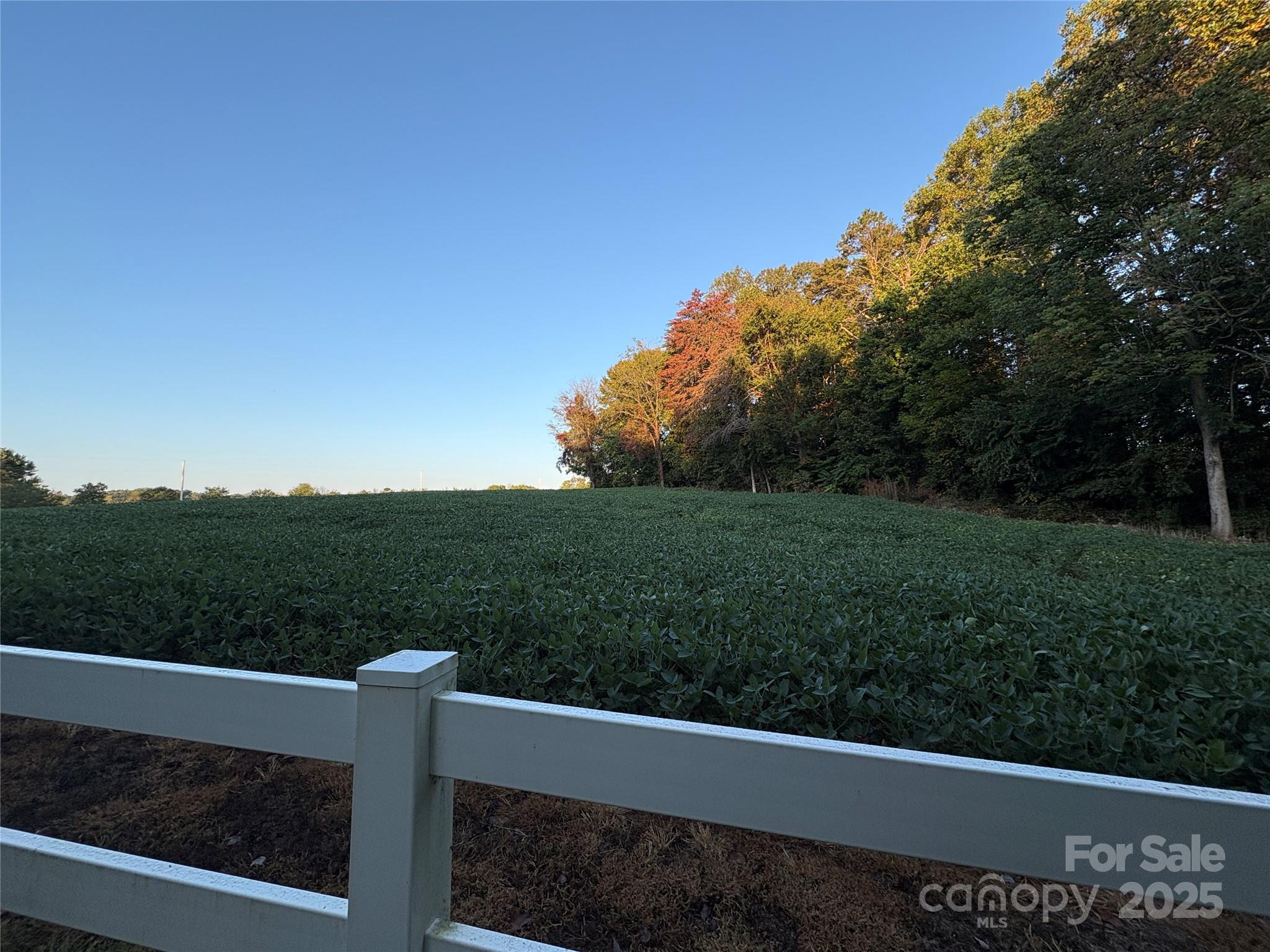 353 Sloans Mill Road Olin, NC 28660 - Photo 4 of 11 Gallery Image 4