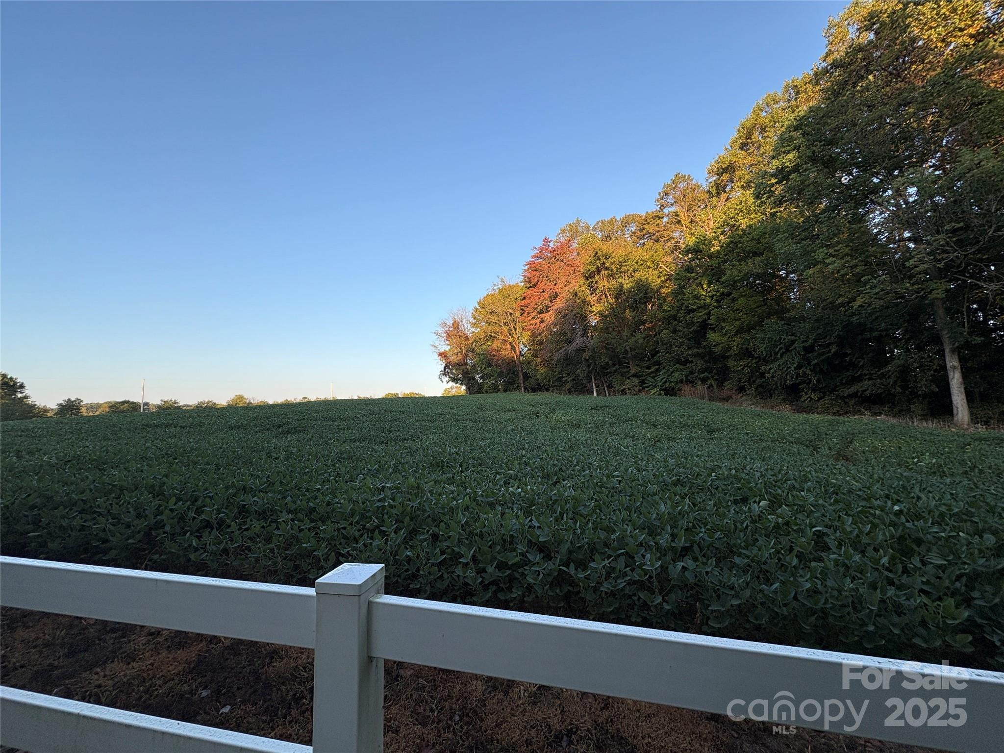 353 Sloans Mill Road Olin, NC 28660 - Photo 5 of 11 Gallery Image 5