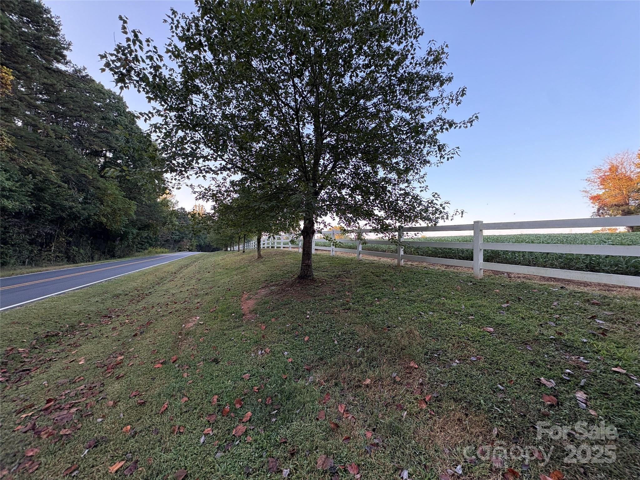 353 Sloans Mill Road Olin, NC 28660 - Photo 7 of 11 Gallery Image 7