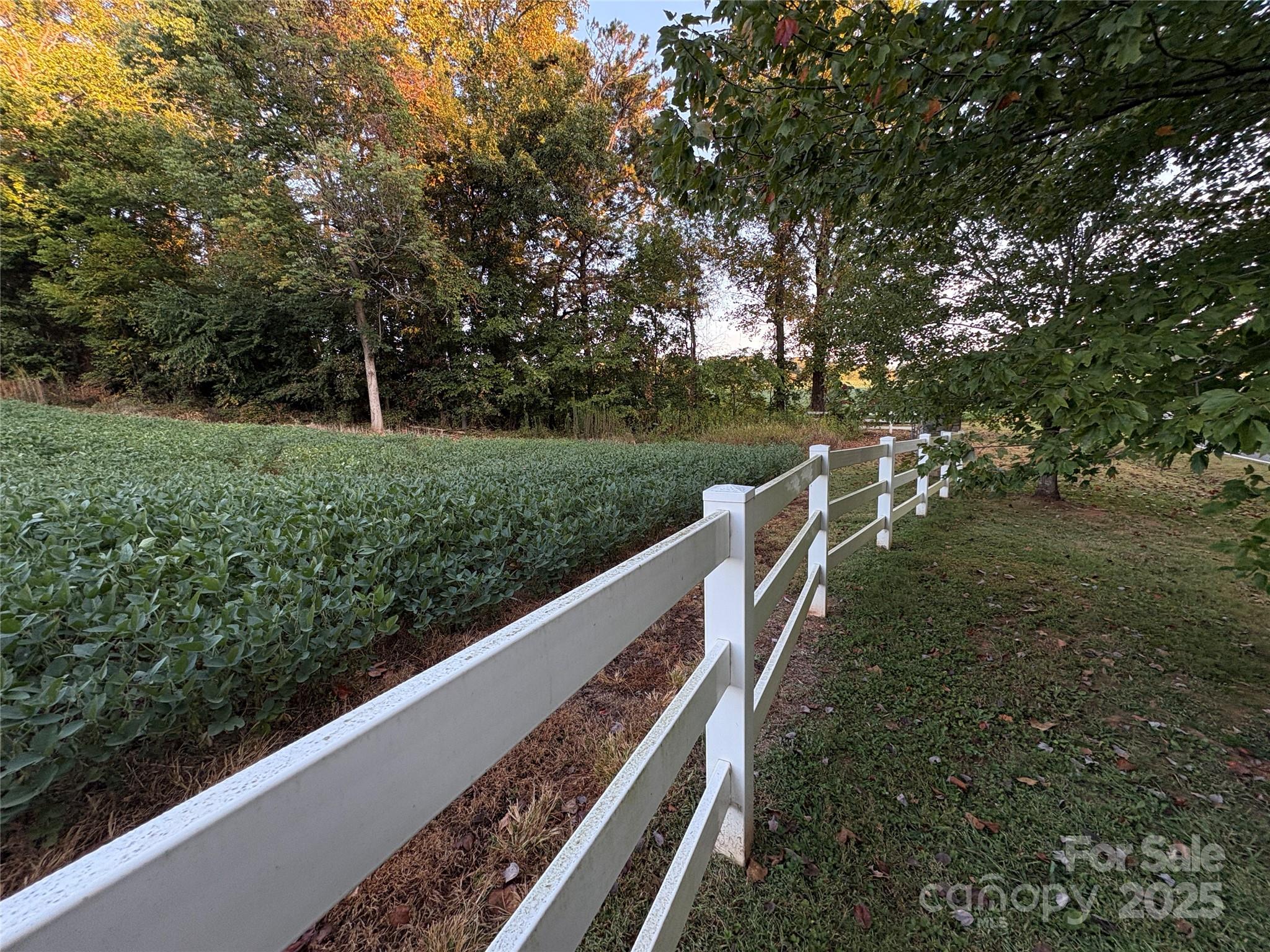 353 Sloans Mill Road Olin, NC 28660 - Photo 9 of 11 Gallery Image 9