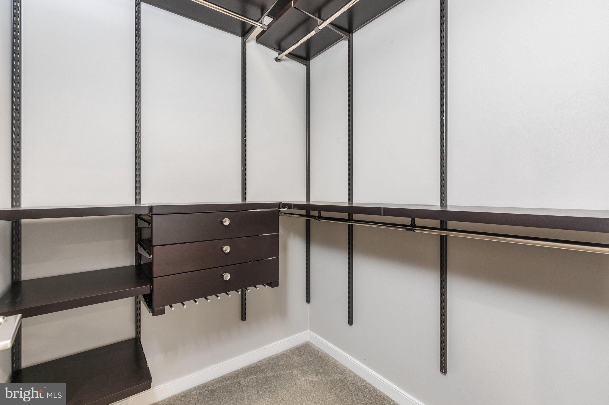 1876 Easterly Road Reston, VA 20190 - Photo 16 of 79 Primary Walk-in Closet