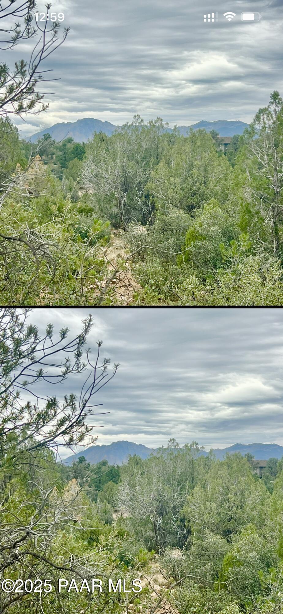 5495 West Three Forks Road Prescott, AZ 86305 - Photo 11 of 30 a view of a yard