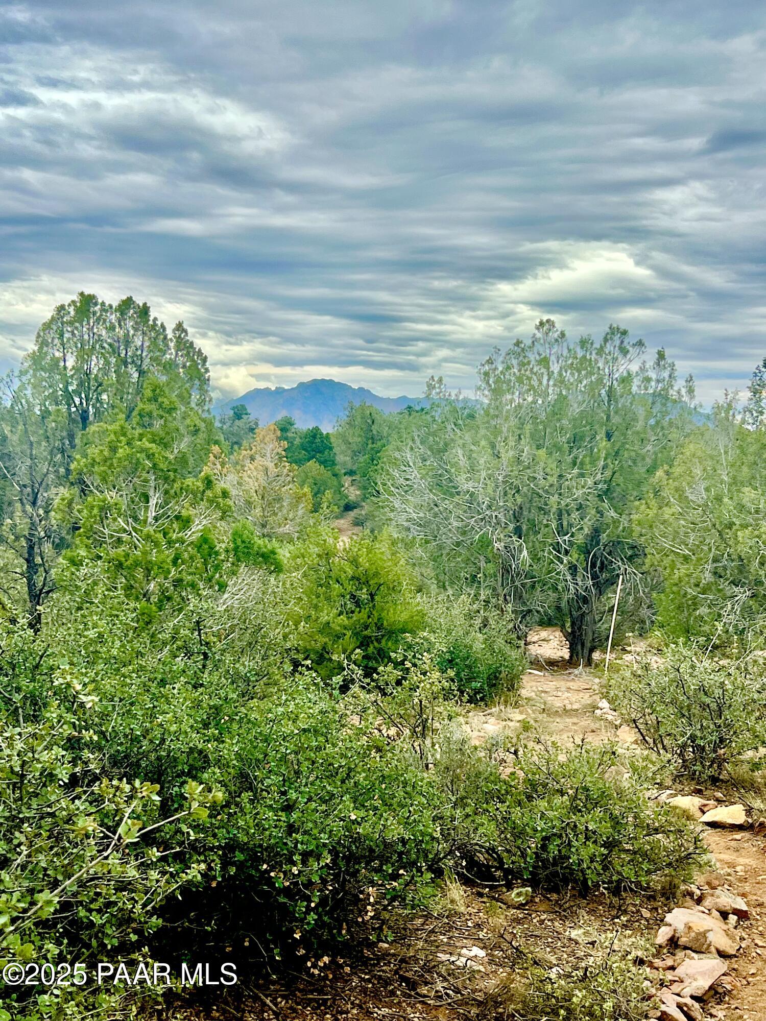 5495 West Three Forks Road Prescott, AZ 86305 - Photo 12 of 30 a view of a garden