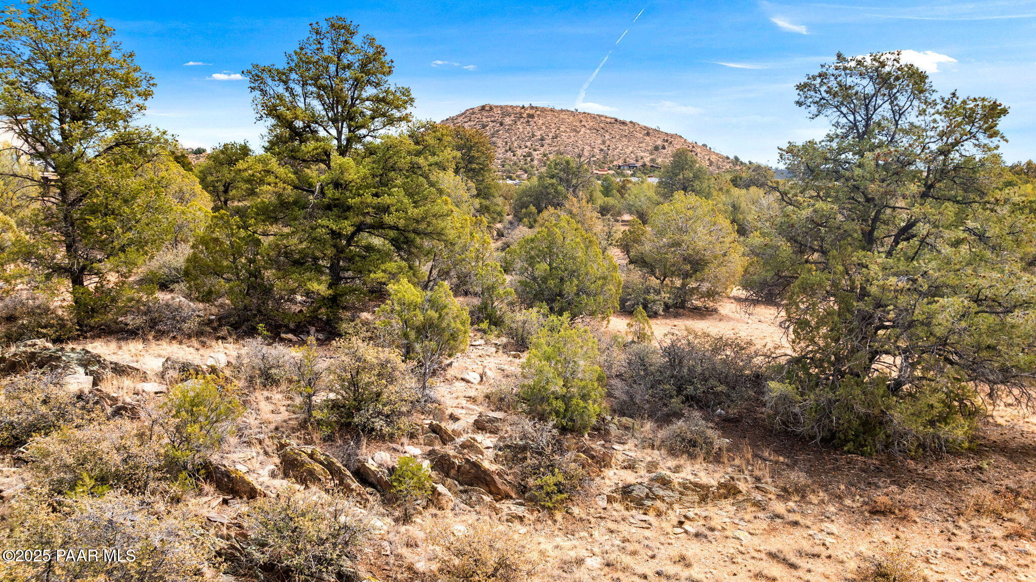 5495 West Three Forks Road Prescott, AZ 86305 - Photo 13 of 30 a view of a dry yard