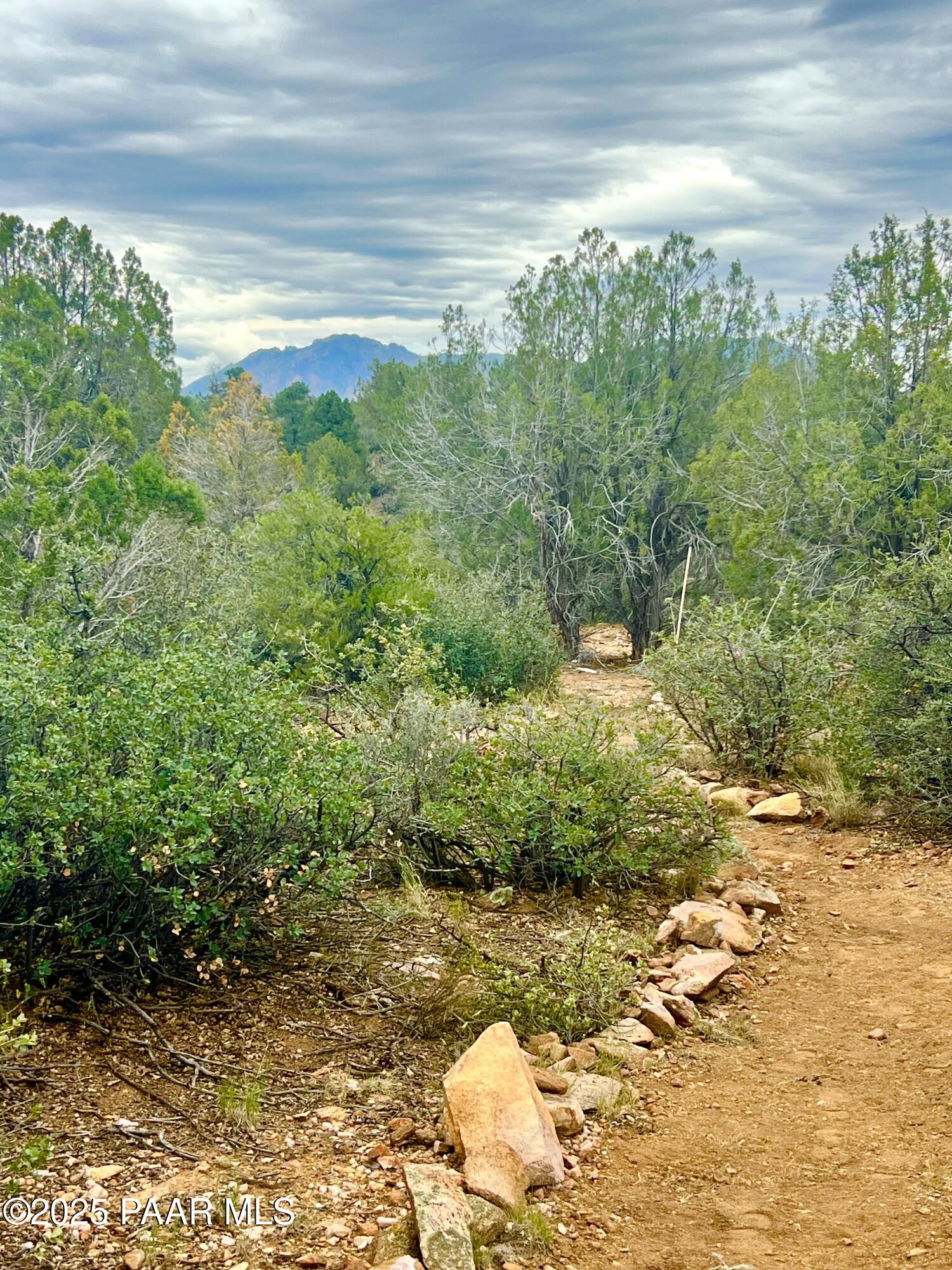 5495 West Three Forks Road Prescott, AZ 86305 - Photo 2 of 30 a view of a pathway both side of yard
