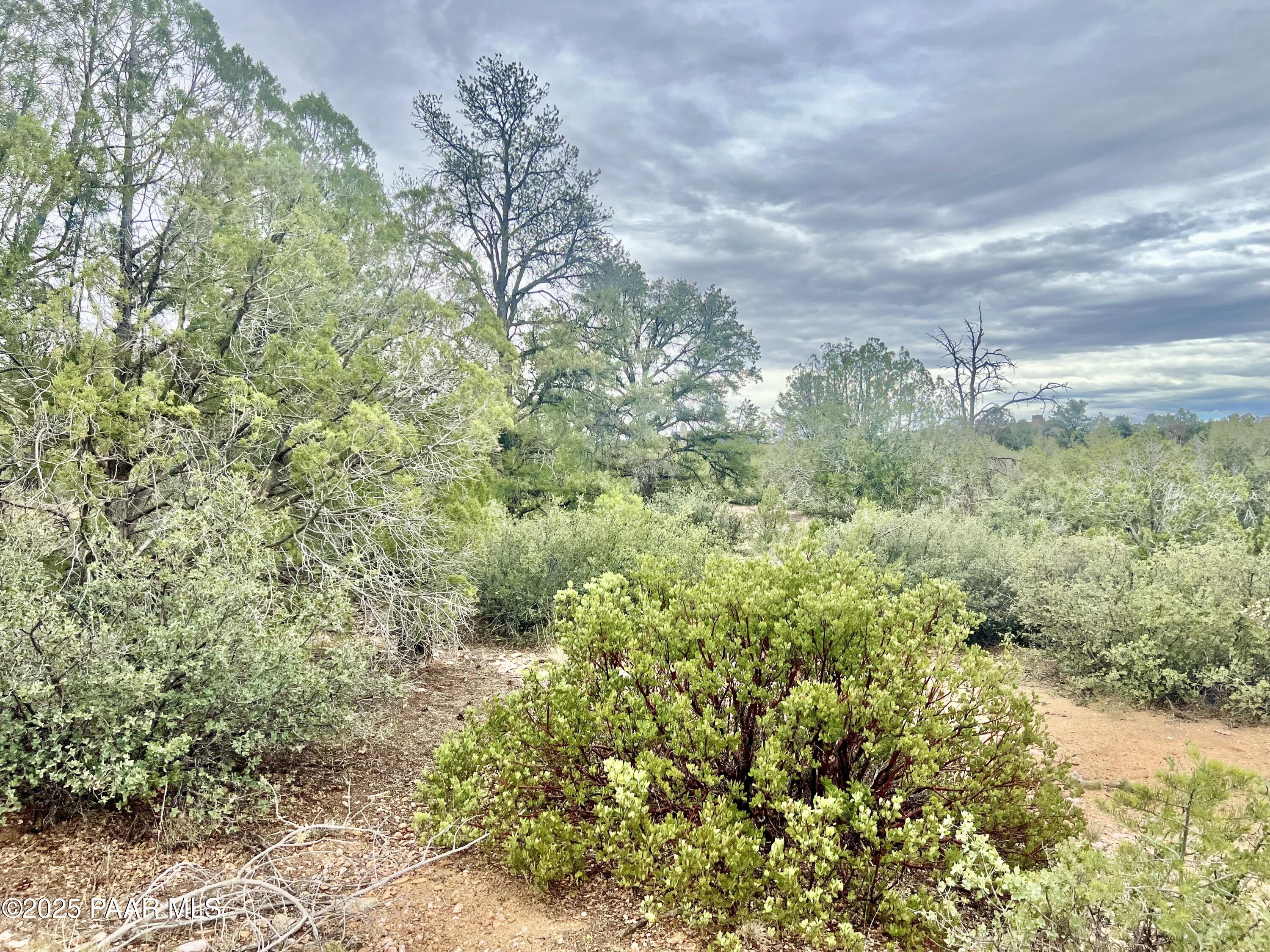 5495 West Three Forks Road Prescott, AZ 86305 - Photo 3 of 30 a view of a bunch of trees and bushes