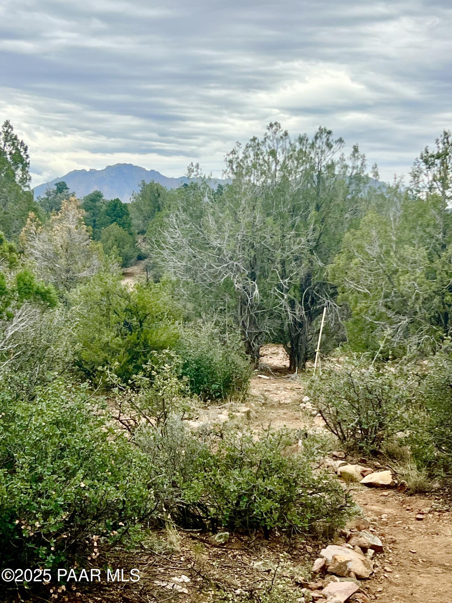 5495 West Three Forks Road Prescott, AZ 86305 - Photo 8 of 30 a view of a yard with plants and a lake view