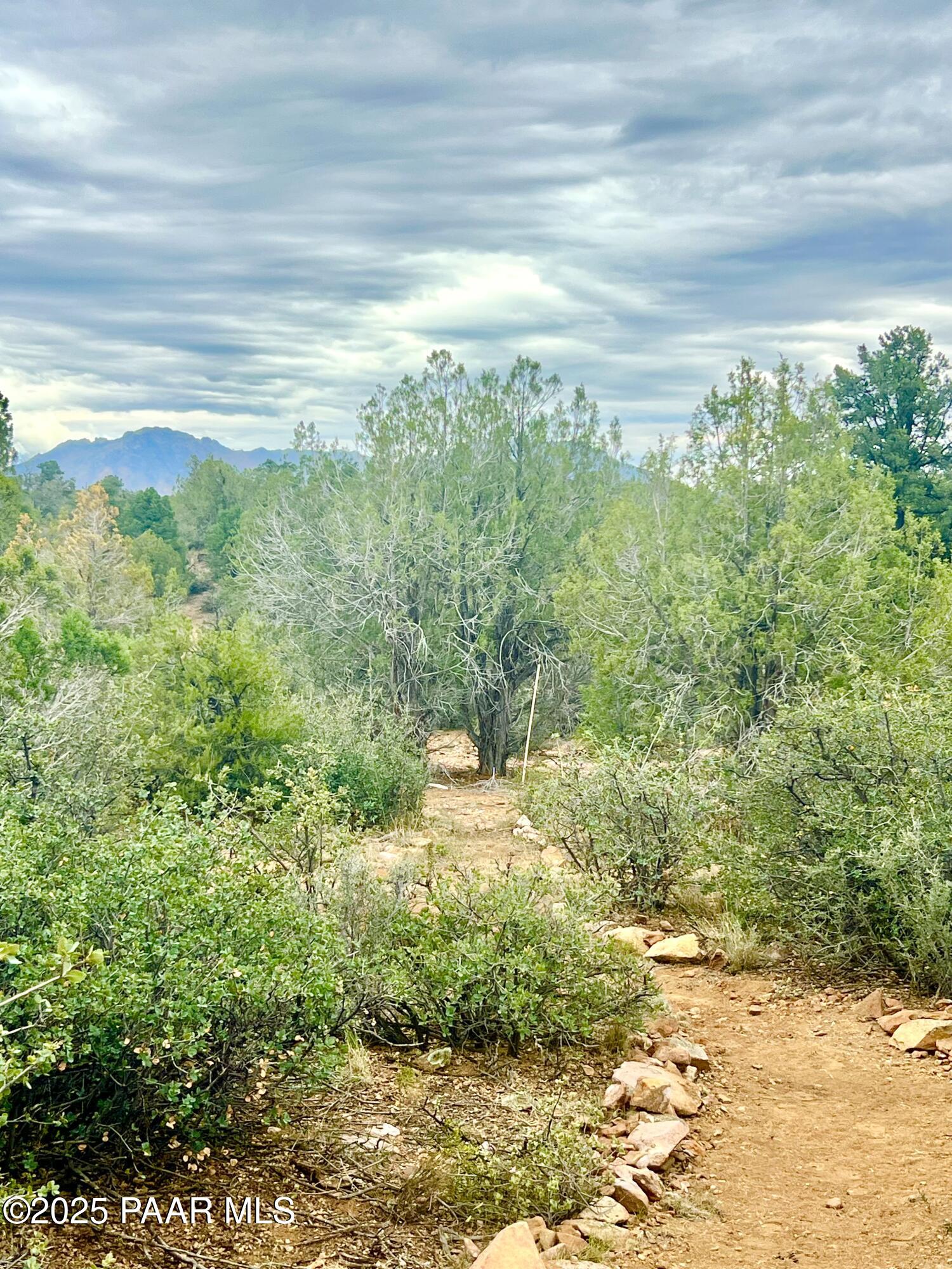 5495 West Three Forks Road Prescott, AZ 86305 - Photo 10 of 30 a close up of a plant in a garden