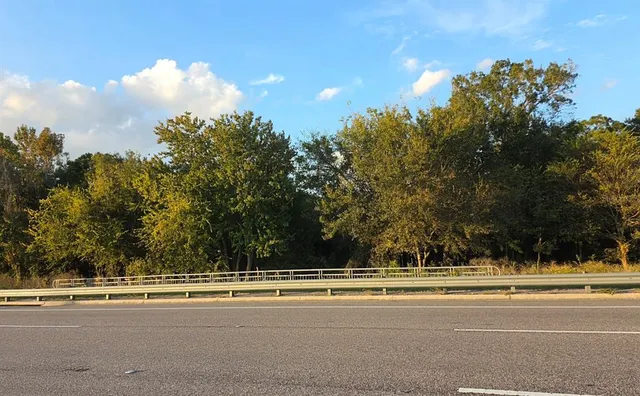 a view of swimming pool and trees
