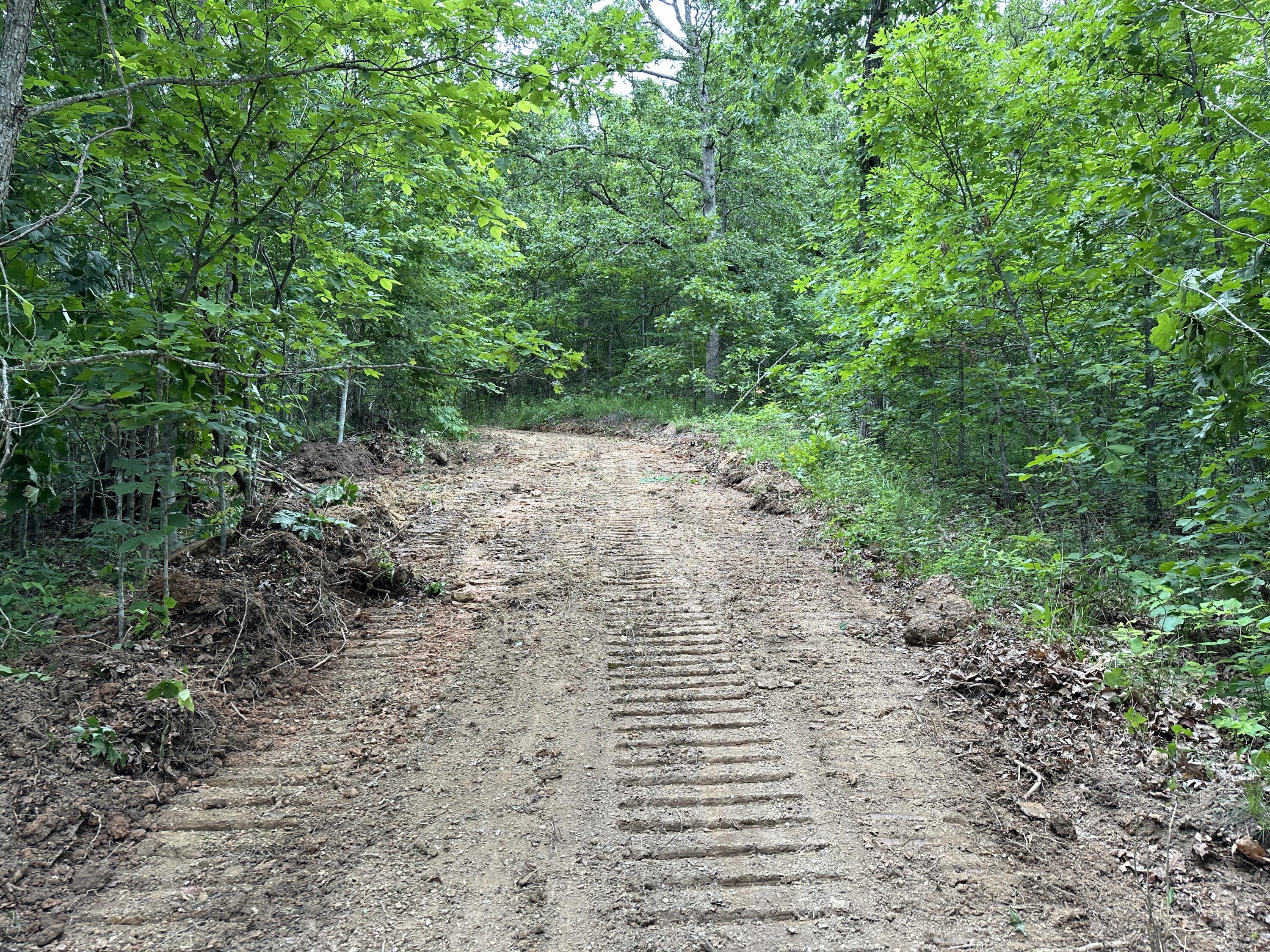14 Williams Creek Road Denton, KY 41132 - Photo 19 of 29 19