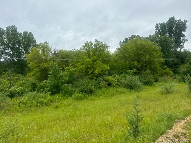 10.63-acre Lapeer Road Davison, MI 48423 - Photo 4 of 6
