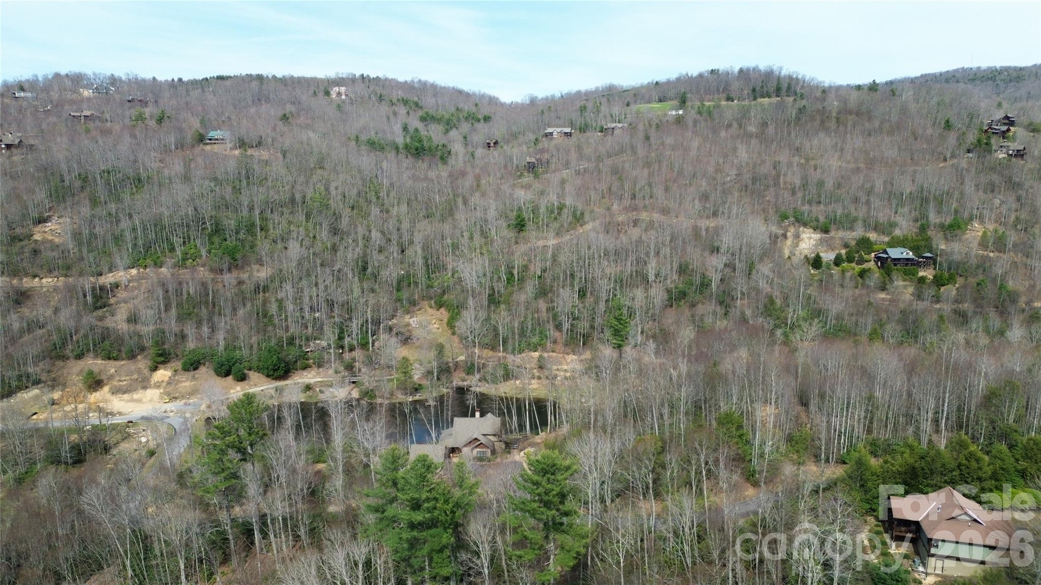 0 Woodlake Loop Road Elk Park, NC 28622 - Photo 17 of 29 a view of a town with trees in the background