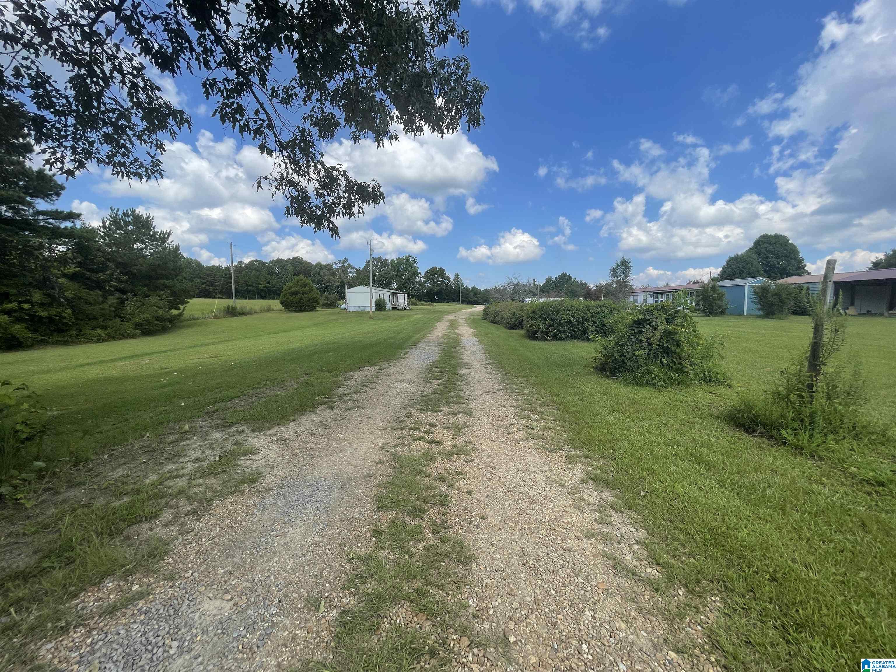 10505 County Road 59 Centre, AL 35960 - Photo 14 of 19