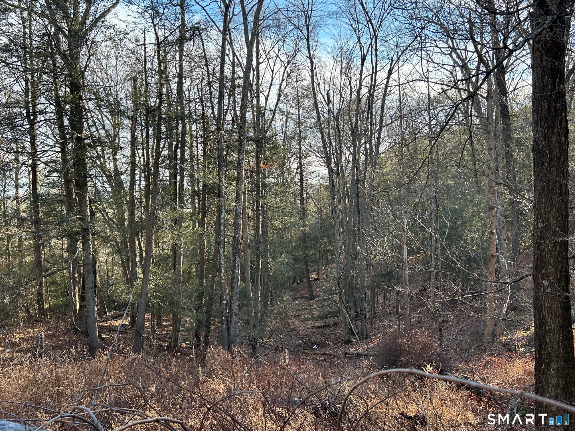 56 Walnut Tree Hill Road Newtown, CT 06482 - Photo 13 of 18