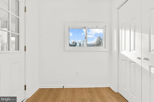 a living room with furniture potted plant and a lamp