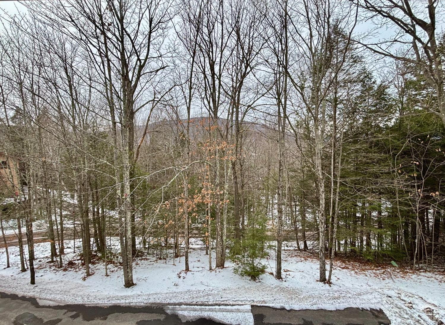 23 Townhouse Lane, Unit D 1 Windham, NY 12439 - Photo 46 of 55 Photo 45