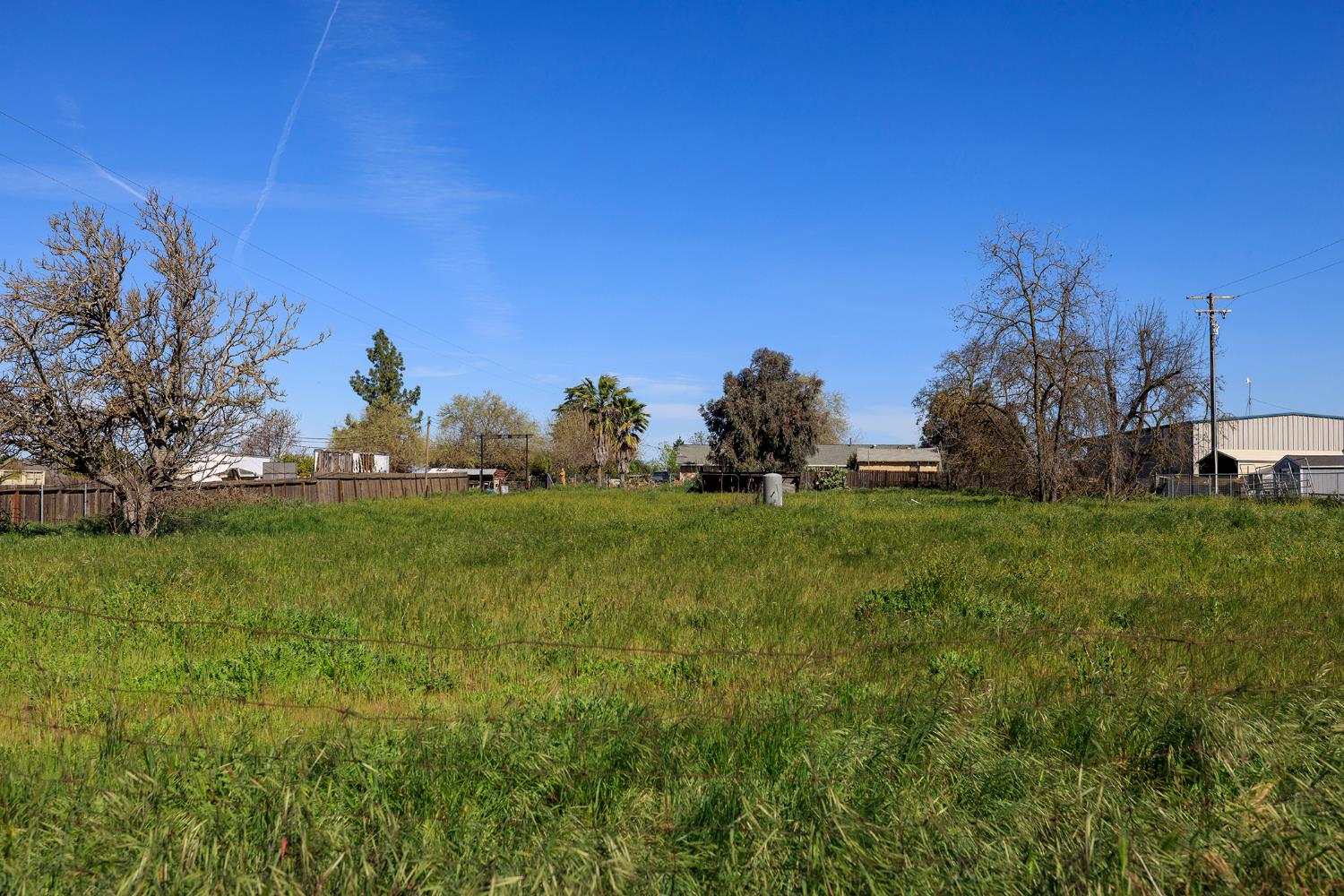 16834 Letteau Avenue Delhi, CA 95315 - Photo 3 of 9 a view of garden with trees