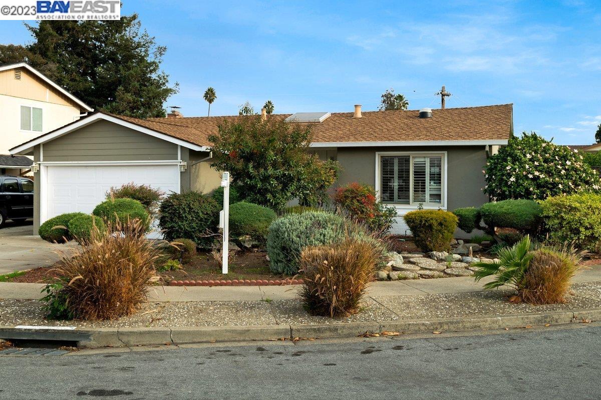 4436 Amador Road Fremont, CA 94538 - Photo 1 of 1 Gallery Image 1