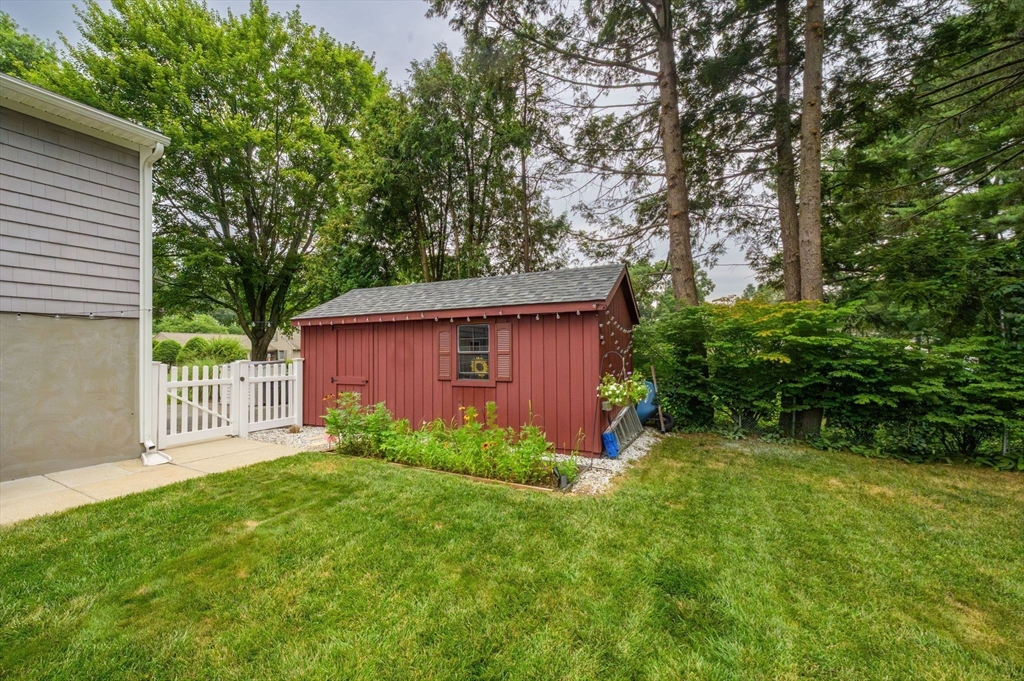 83 Loomis Drive Chicopee, MA 01020 - Photo 36 of 40 a view of backyard with potted plants and large tree