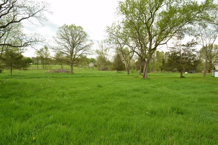 7571 Mt Hope Road Grass Lake, MI 49240 - Photo 3 of 57 Photo 3