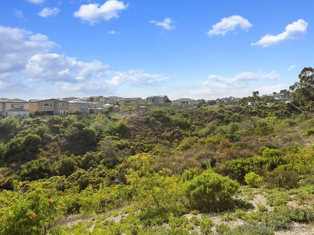 4702 Crespi Court Carlsbad, CA 92010 - Photo 38 of 39 a view of a city with lush green forest