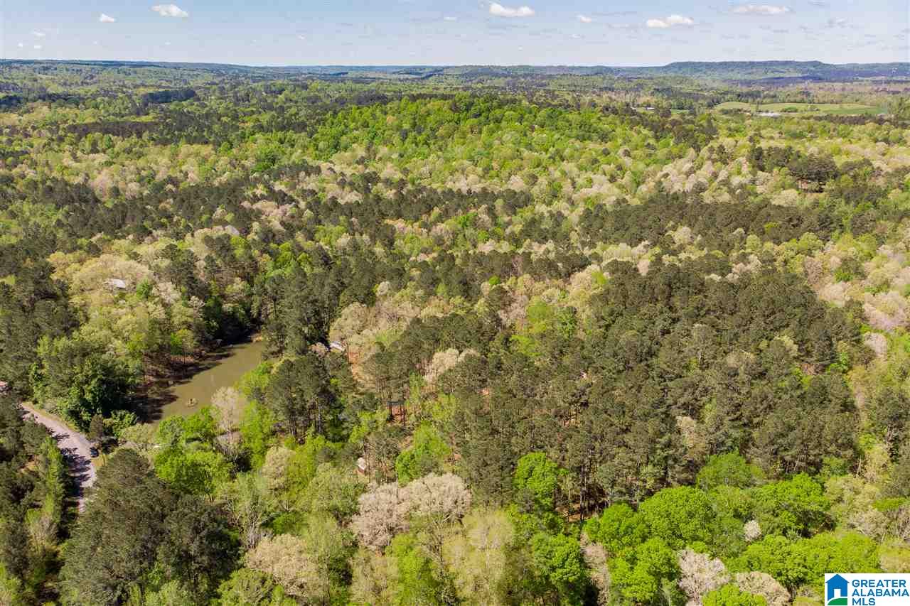 401 Ricetown Road Hayden, AL 35079 - Photo 50 of 50
