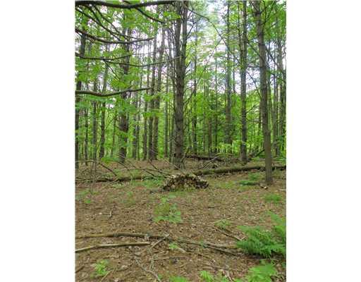 Lot 3 East Pond Road Smithfield, ME 04978 - Photo 8 of 13 Land/Lot.