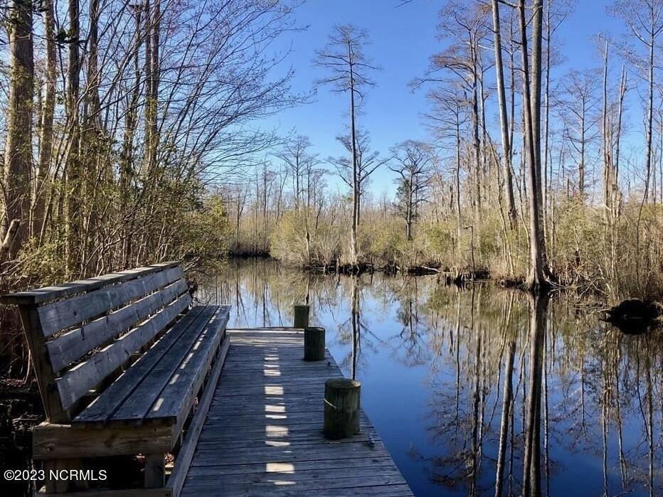 108 Billetts Bridge Road Camden, NC 27921 - Photo 4 of 6 Community Dock