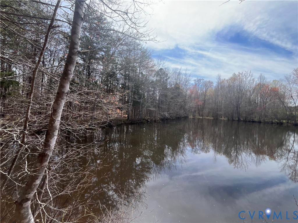 0 Brown Road Cumberland, VA 23040 - Photo 2 of 7 a view of a lake view