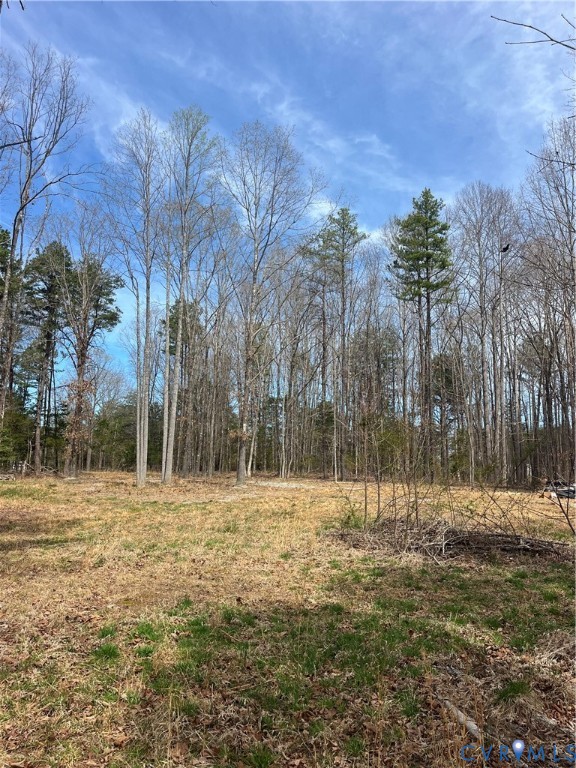 0 Brown Road Cumberland, VA 23040 - Photo 3 of 7 a yard with trees