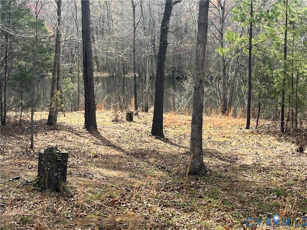 0 Brown Road Cumberland, VA 23040 - Photo 4 of 7 a view of a forest with trees