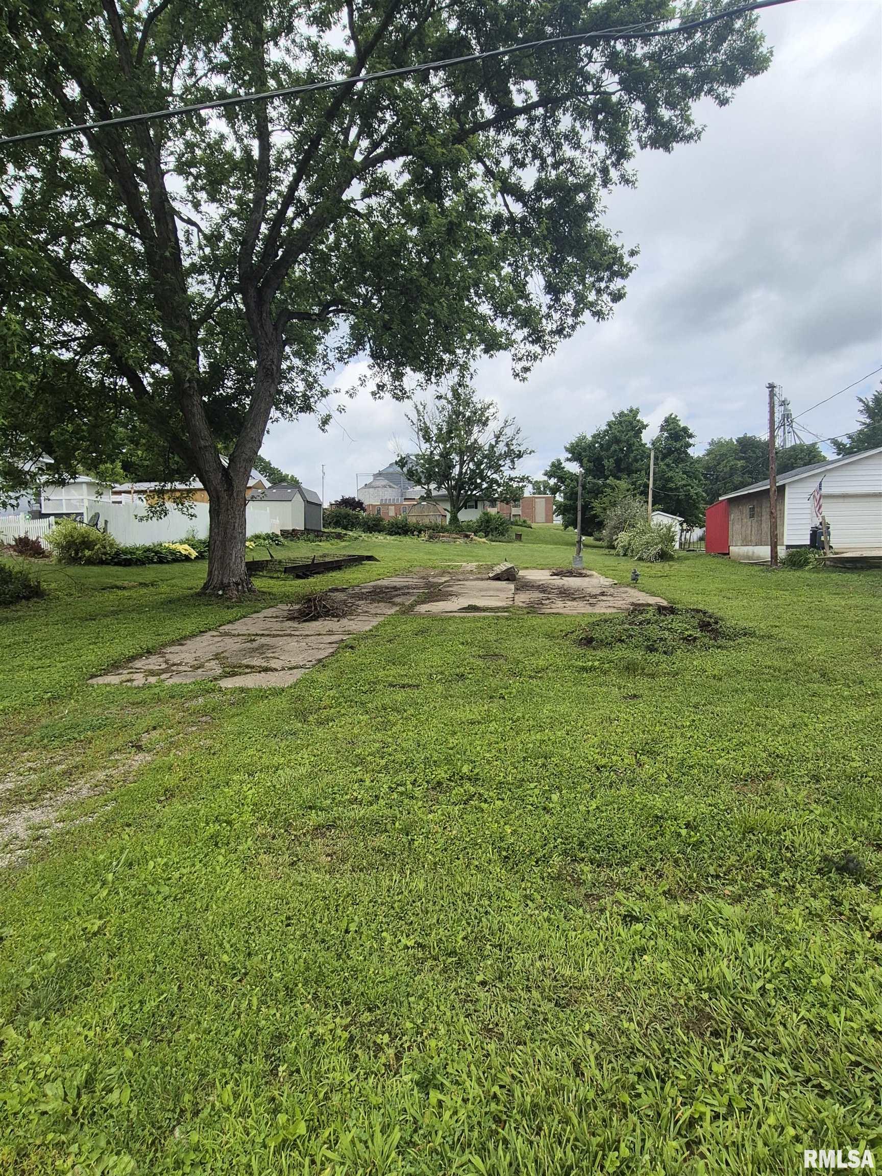 317 West Main Street Pleasant Plains, IL 62677 - Photo 2 of 2