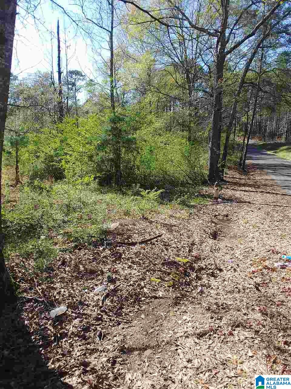 0 Roberts Mill Pond Road, Unit 1 39 Pell City, AL 35128 - Photo 3 of 29