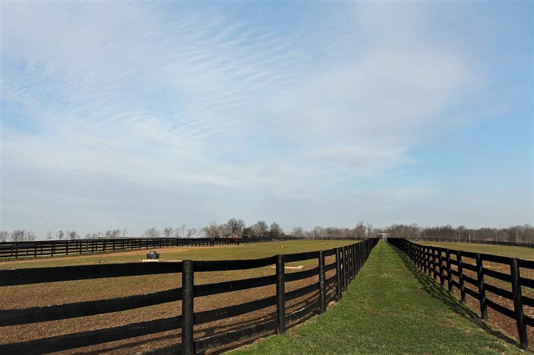 1094 Clay Kiser Road Paris, KY 40361 - Photo 20 of 44 Photo 20