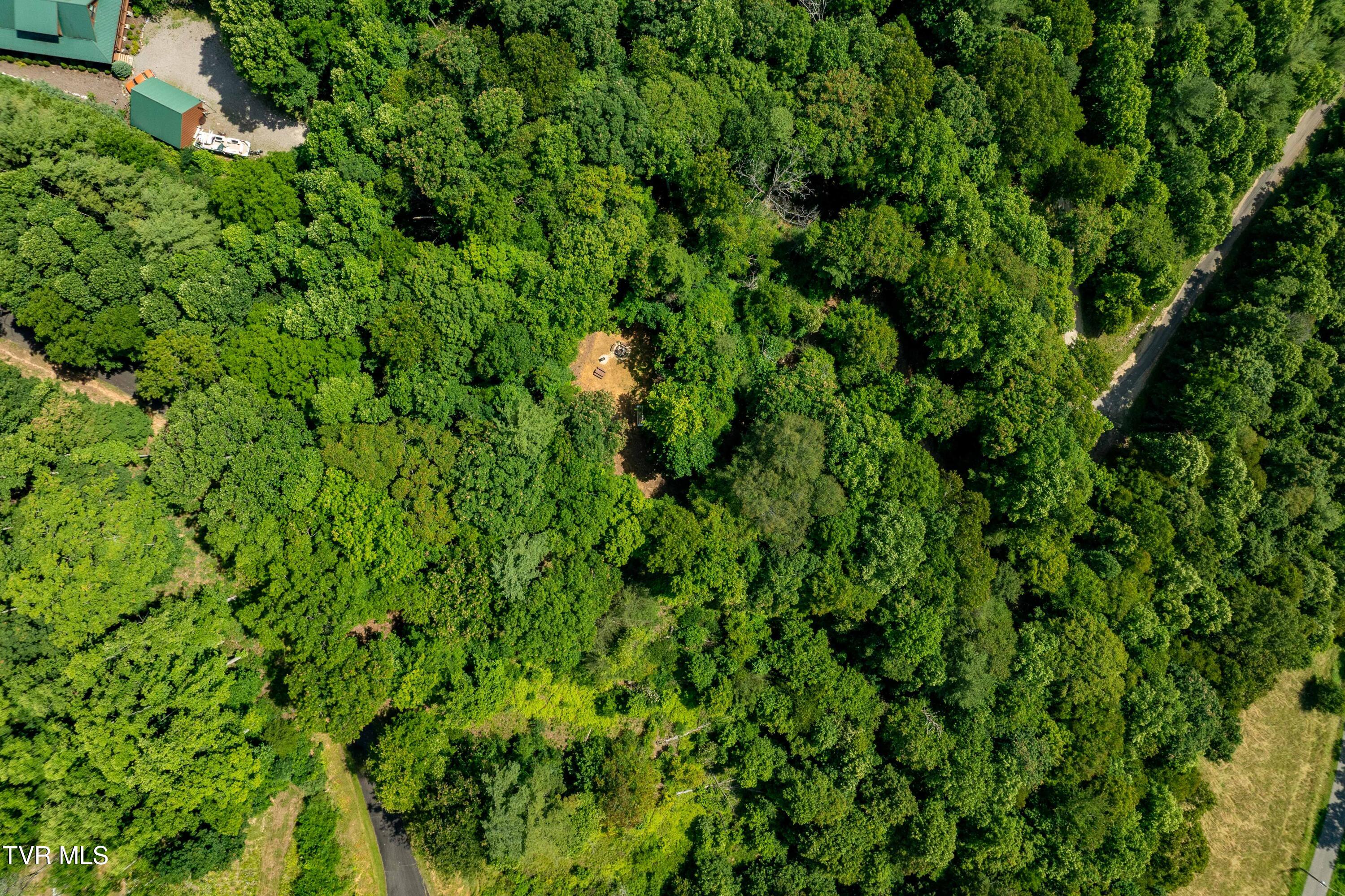 Lot 33 Lake Ridge Road, Unit 33 Butler, TN 37640 - Photo 2 of 30 Lot 33 (2 of 29)