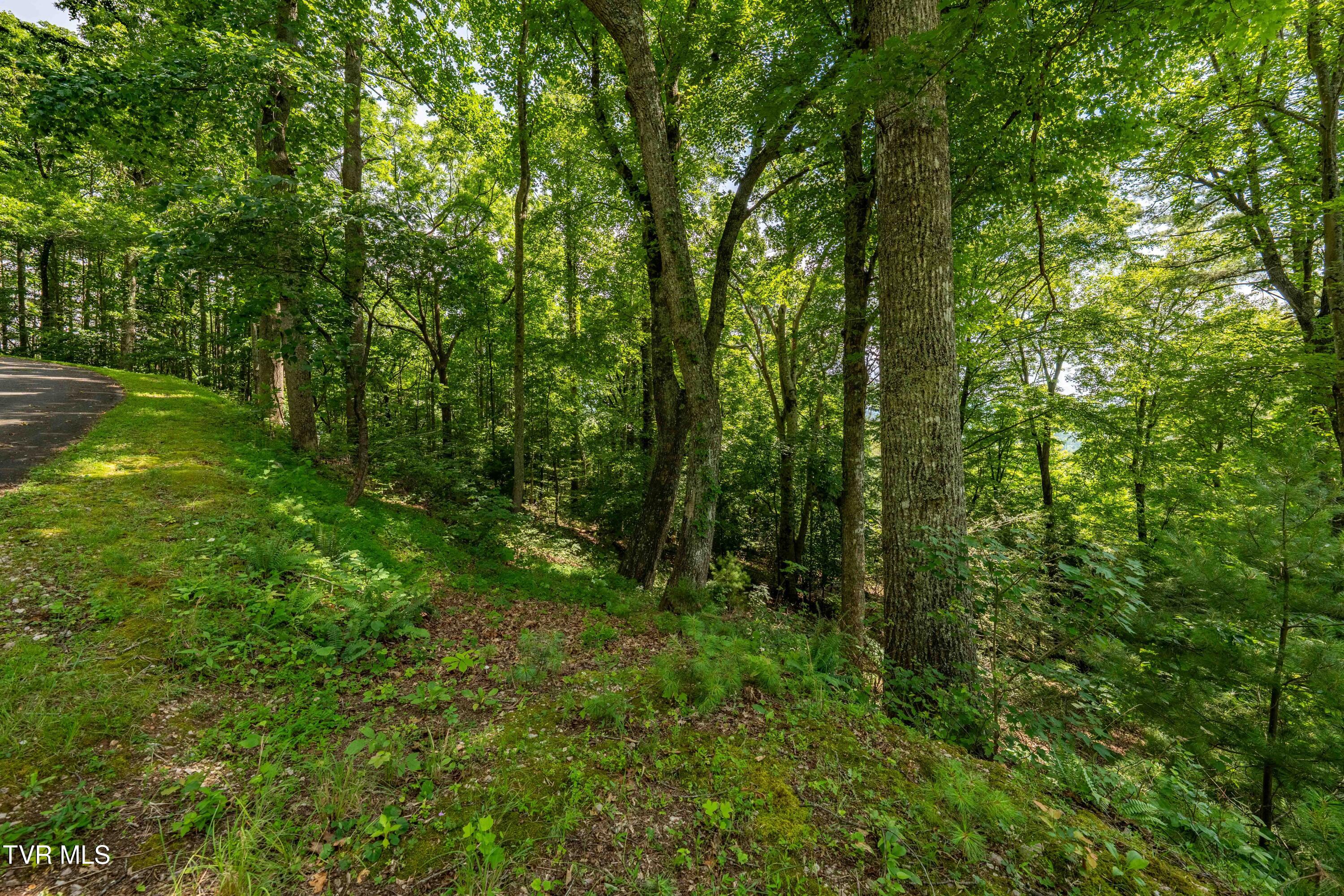 Lot 33 Lake Ridge Road, Unit 33 Butler, TN 37640 - Photo 27 of 30 Lot 33 (27 of 29)