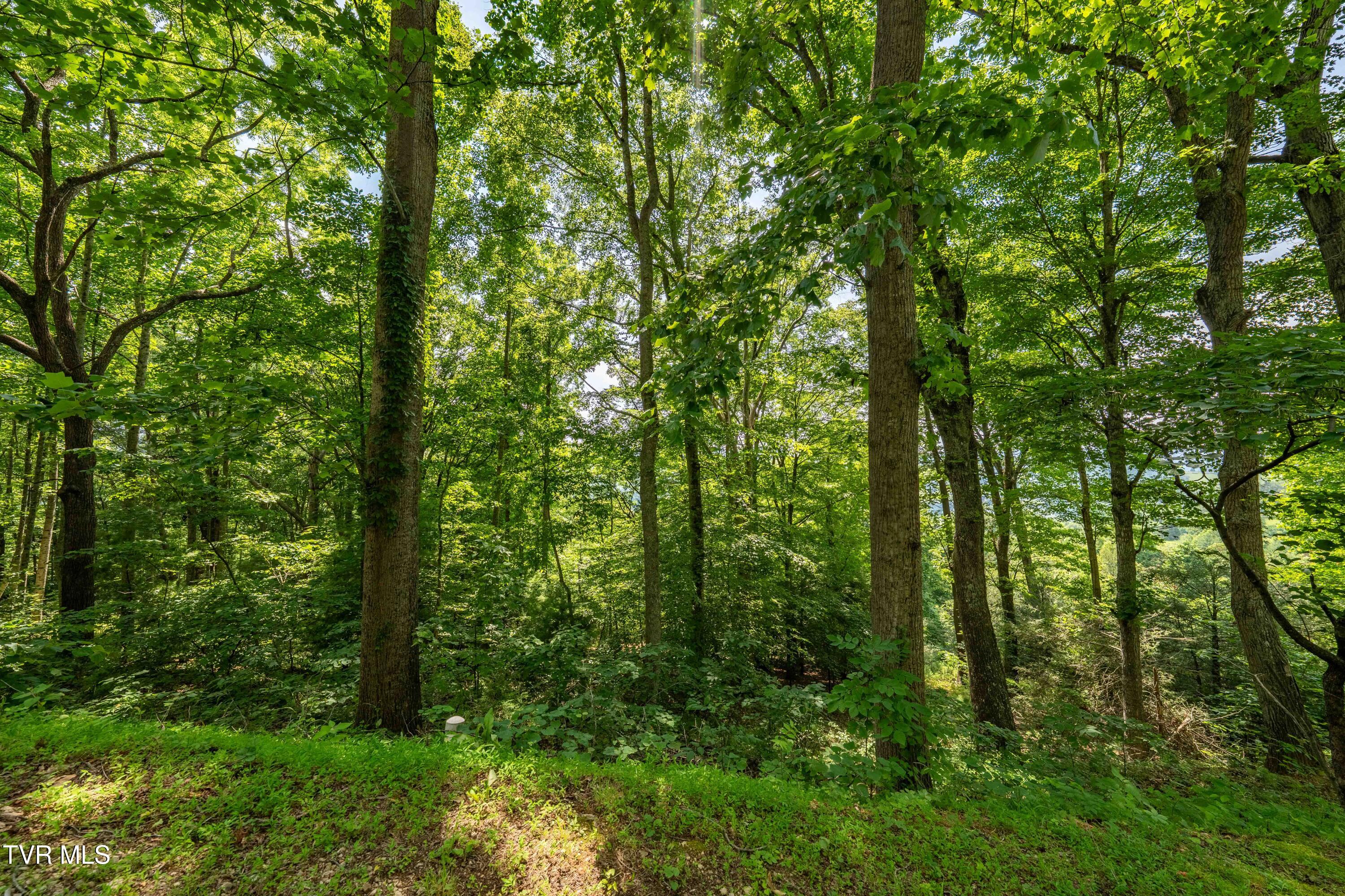 Lot 33 Lake Ridge Road, Unit 33 Butler, TN 37640 - Photo 28 of 30 Lot 33 (28 of 29)