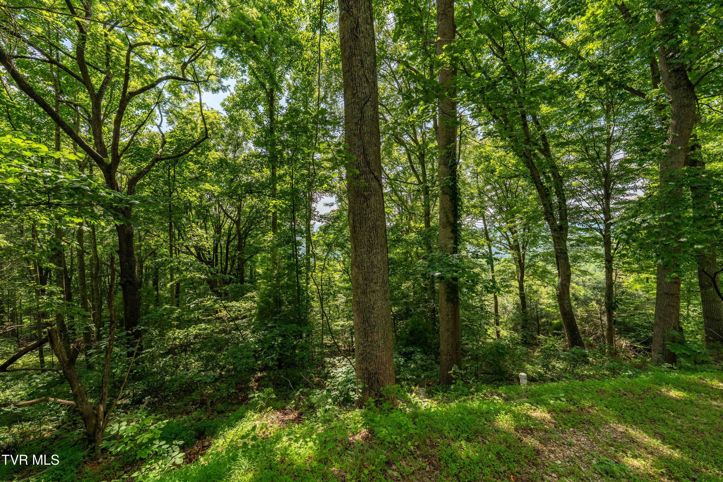 Lot 33 Lake Ridge Road, Unit 33 Butler, TN 37640 - Photo 29 of 30 Lot 33 (29 of 29)