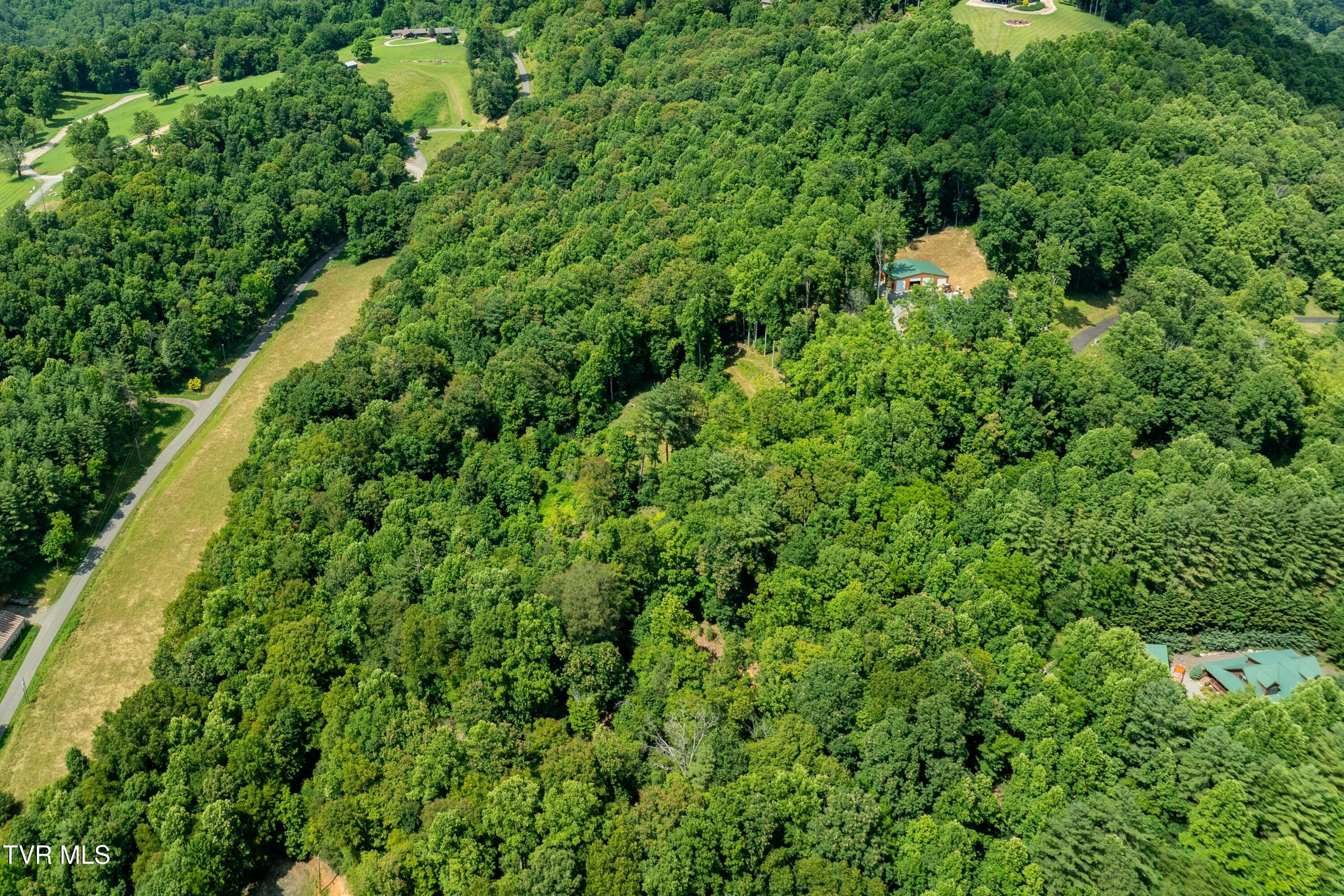 Lot 33 Lake Ridge Road, Unit 33 Butler, TN 37640 - Photo 10 of 30 Lot 33 (10 of 29)