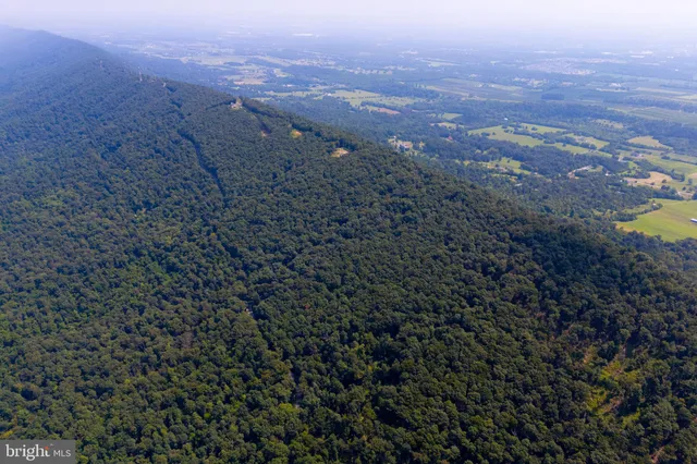 a view of city and mountain
