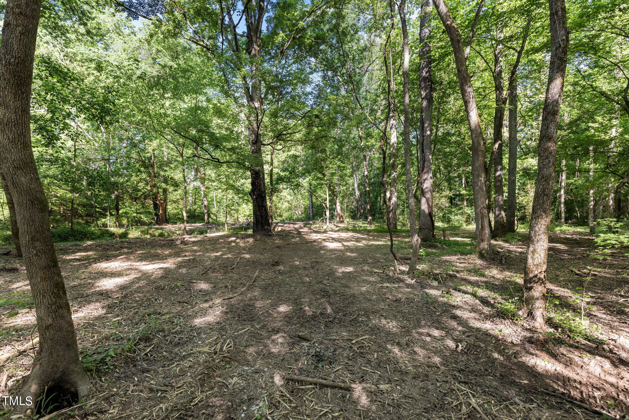 Lot 2 Helena Moriah Road Timberlake, NC 27583 - Photo 8 of 12 a view of outdoor space and yard